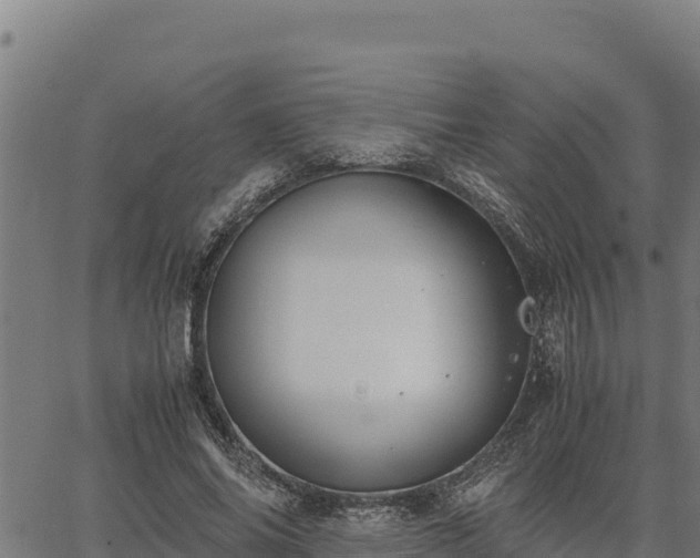 X0000067000686200603311615