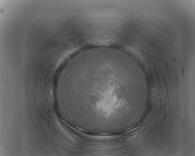 X0000067000688200603311615