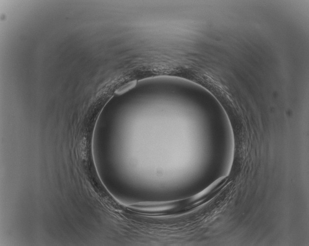 X0000067000689200603311615