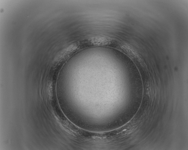 X0000067000690200603311615