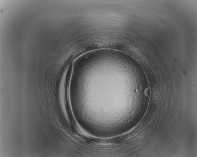 X0000067000691200603311615