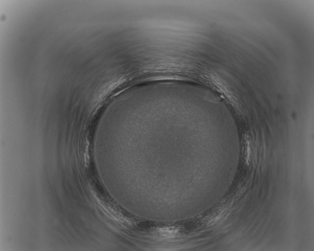 X0000067000692200603311615