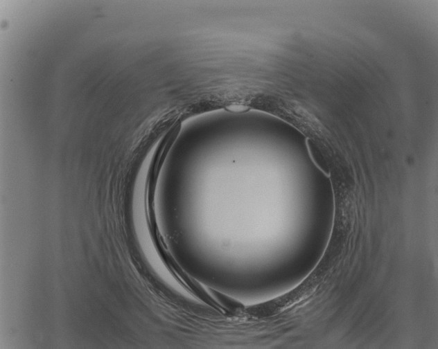 X0000067000693200603311615