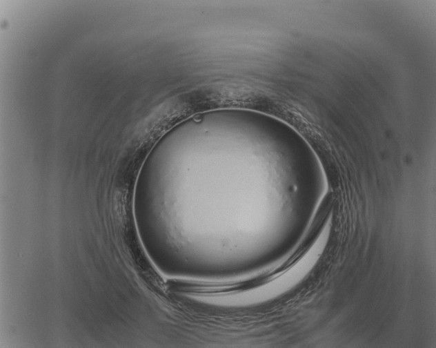 X0000067000695200603311615