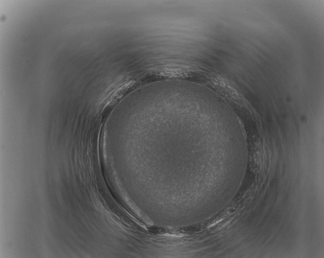 X0000067000696200603311615