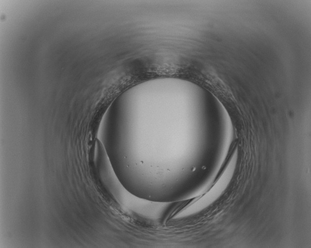 X0000067000697200603311615