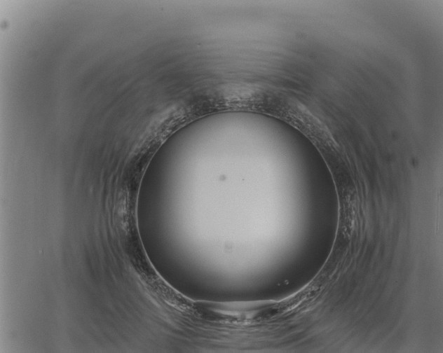 X0000067000698200603311615