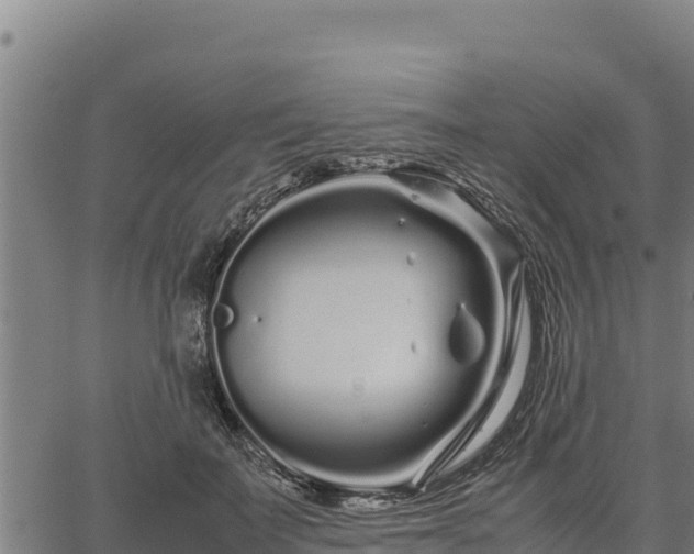 X0000067000699200603311614