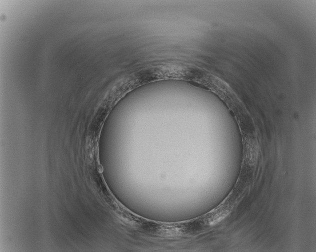 X0000067000701200603311614