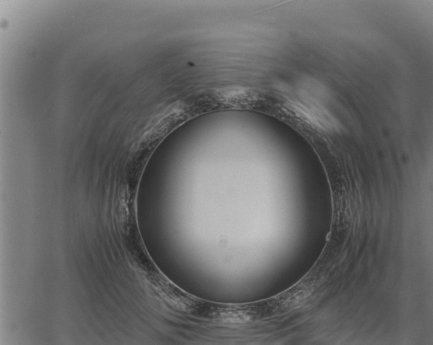 X0000067000702200603311614