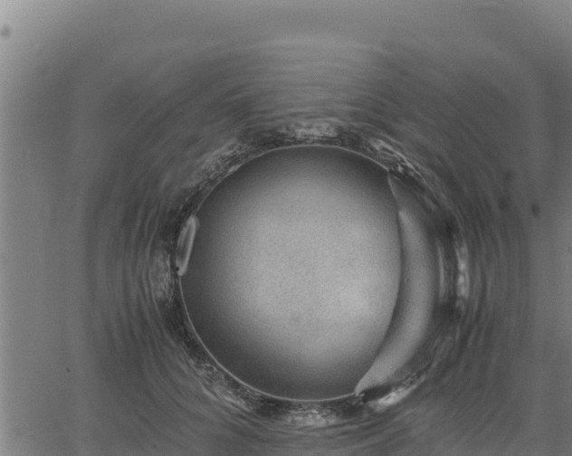 X0000067000704200603311614