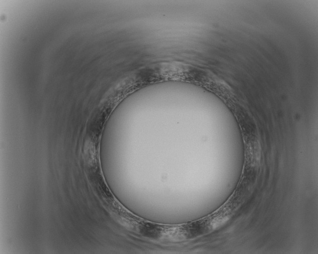 X0000067000705200603311614