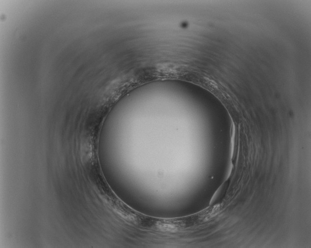 X0000067000706200603311614