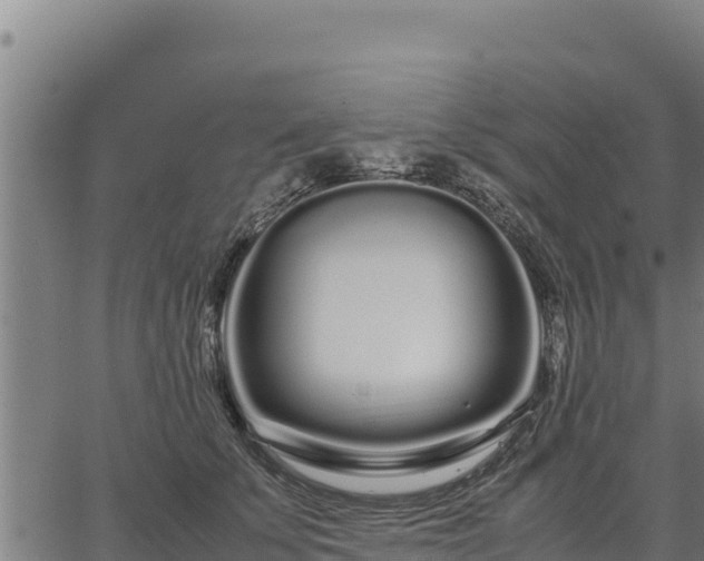 X0000067000707200603311614