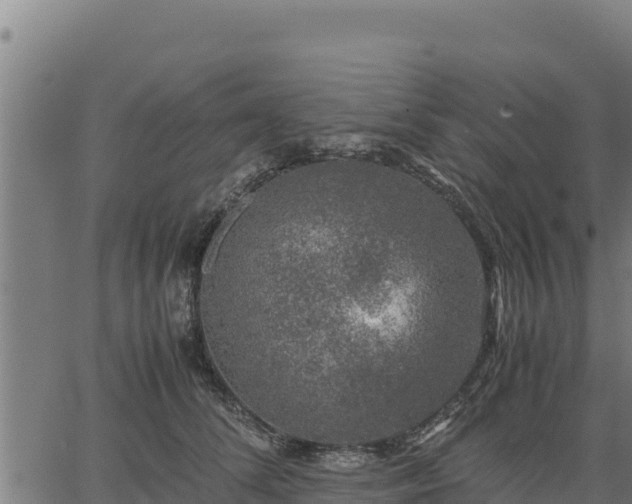 X0000067000708200603311614