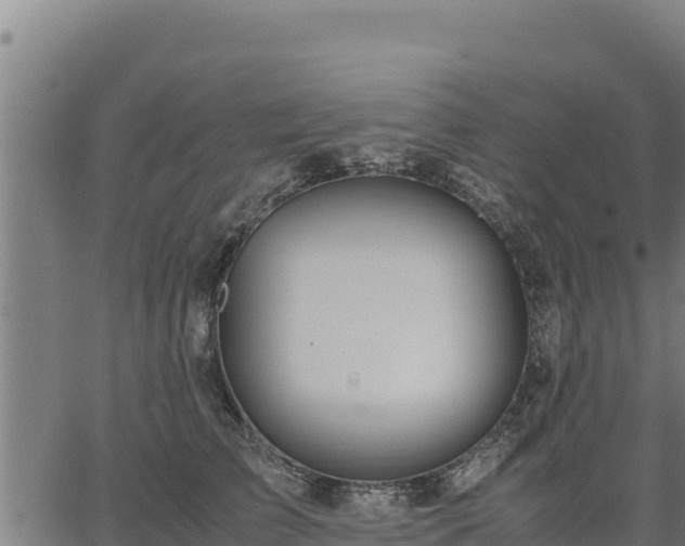 X0000067000709200603311614