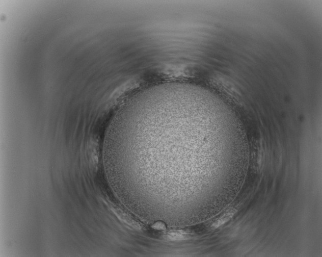 X0000067000710200603311614