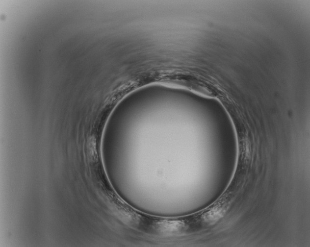 X0000067000711200603311614