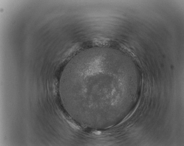 X0000067000712200603311614