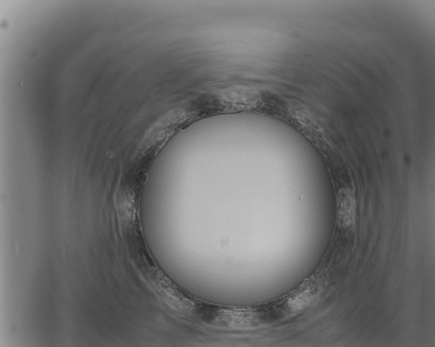 X0000067000713200603311614