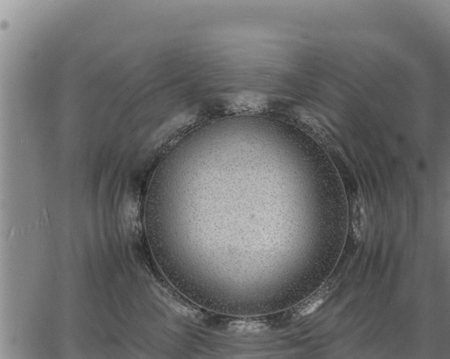 X0000067000714200603311614