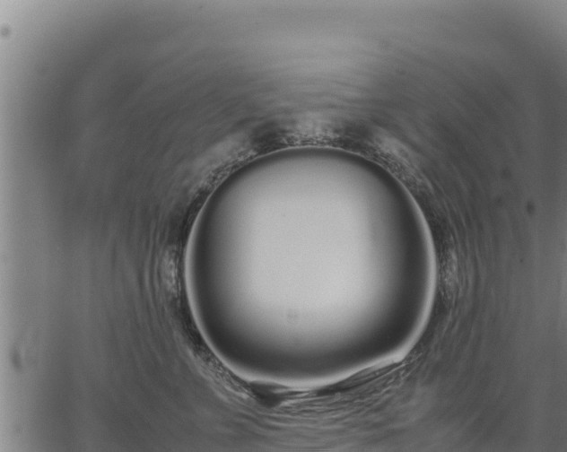 X0000067000715200603311614