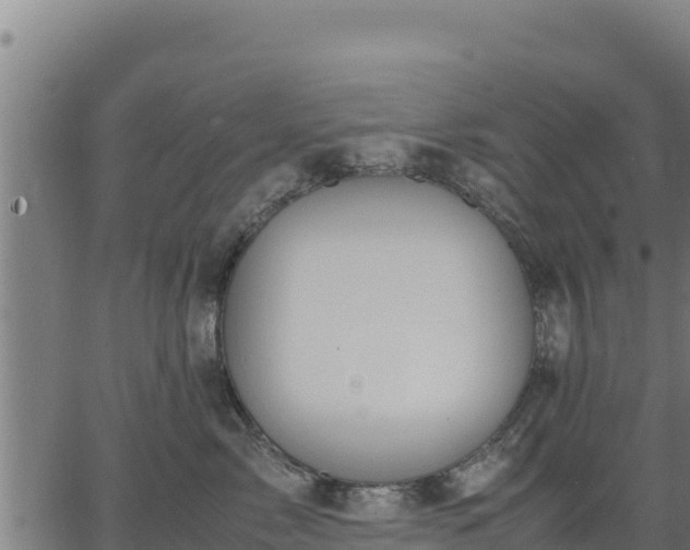 X0000067000717200603311614