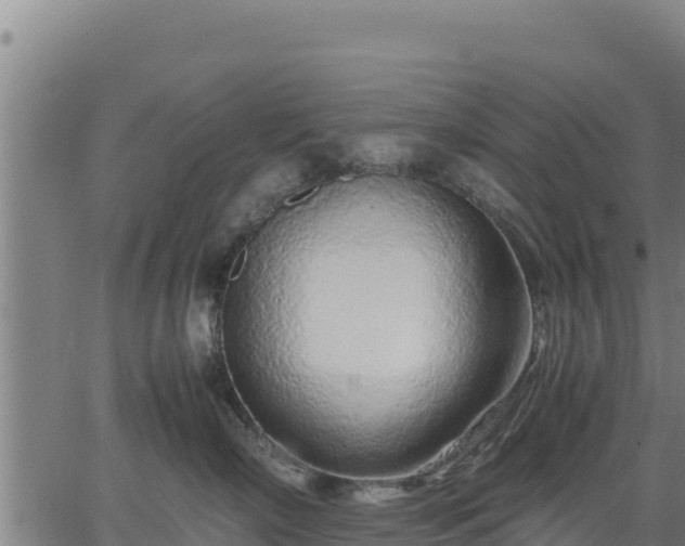 X0000067000718200603311614