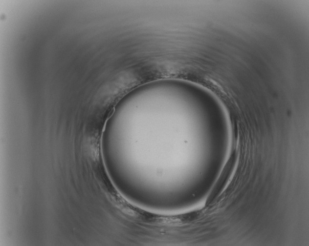 X0000067000719200603311614