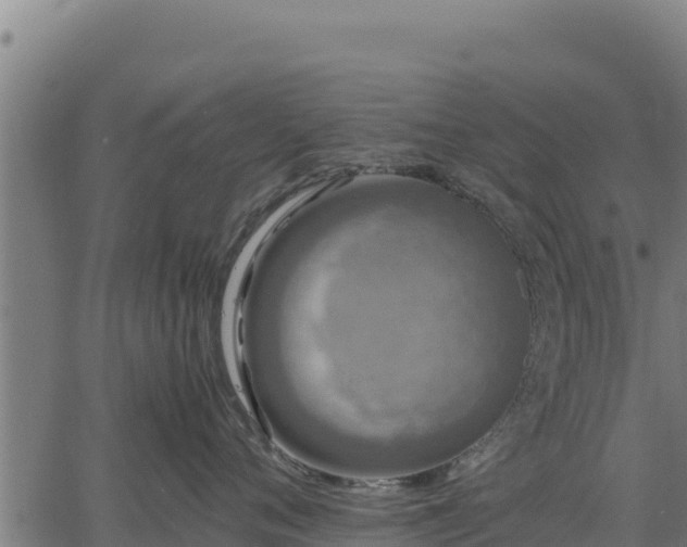 X0000067000720200603311614