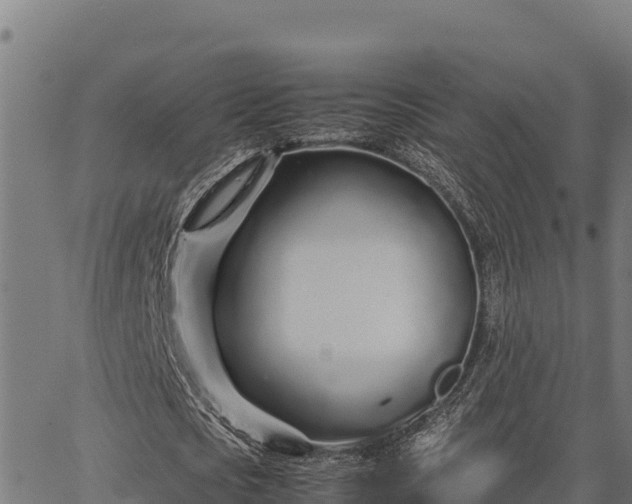 X0000067000721200603311613