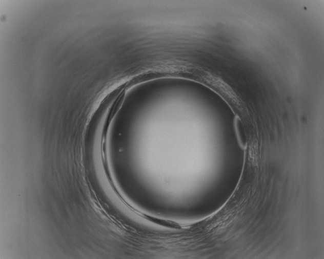 X0000067000724200603311613