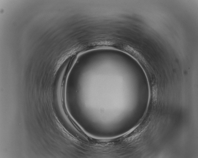 X0000067000725200603311613