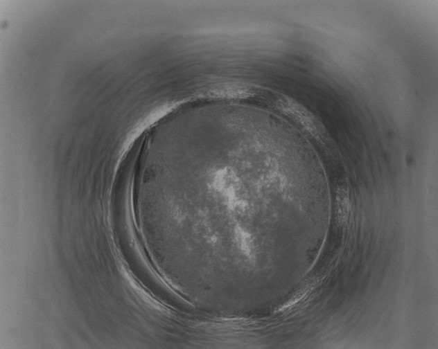 X0000067000726200603311613