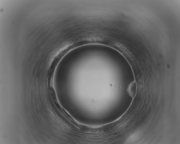 X0000067000727200603311613