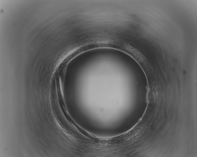 X0000067000728200603311613