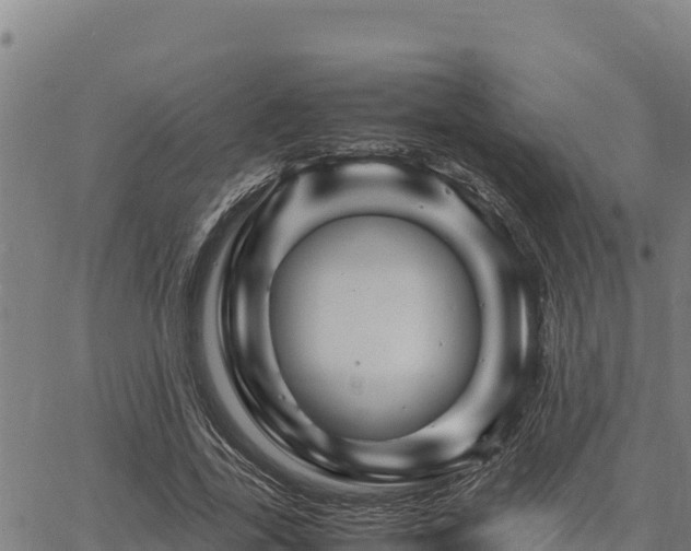 X0000067000731200603311614