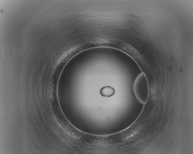 X0000067000732200603311614