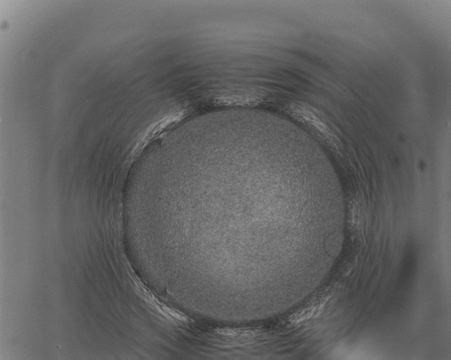 X0000067000733200603311614