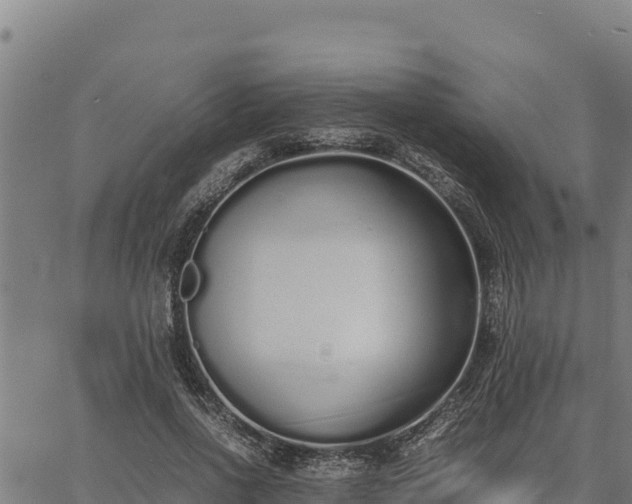 X0000067000734200603311614