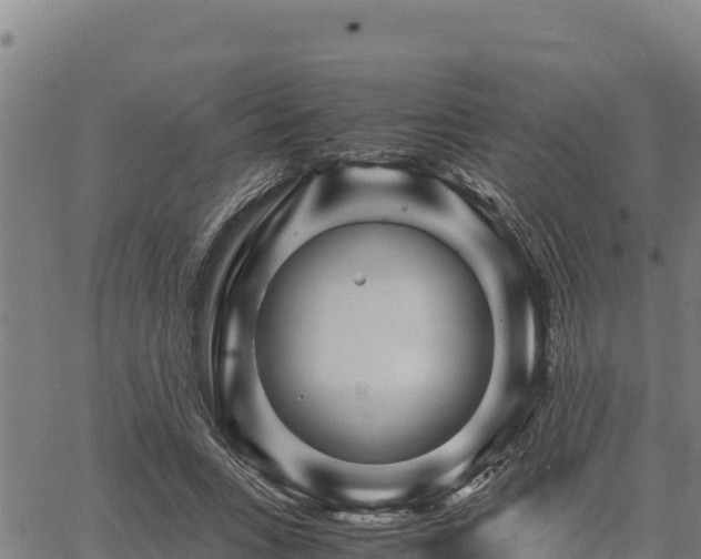 X0000067000735200603311614