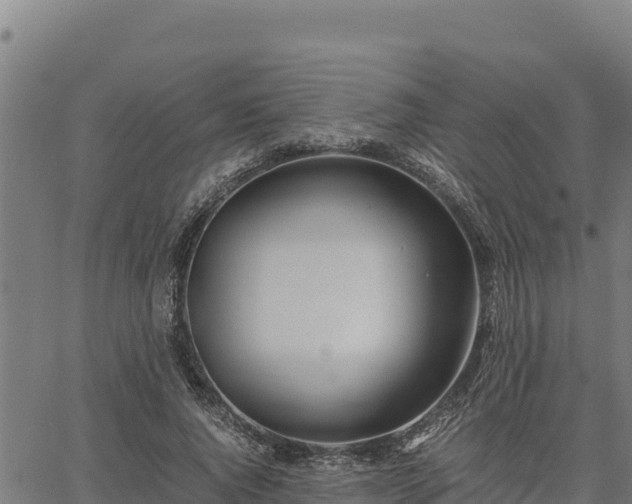 X0000067000736200603311614