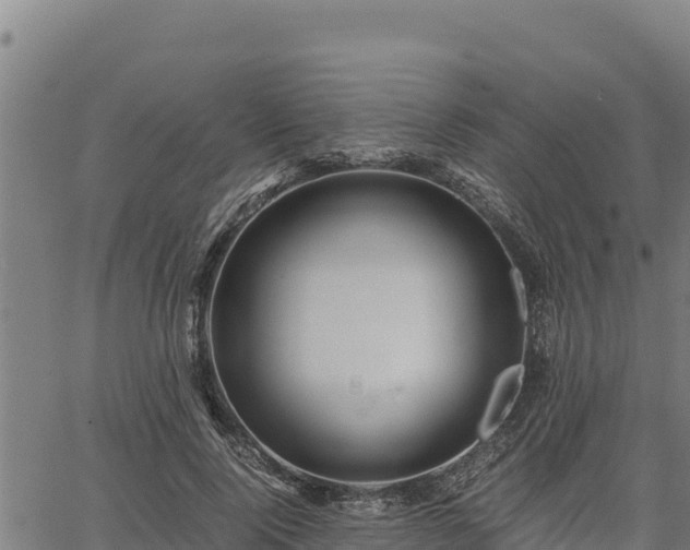 X0000067000740200603311614