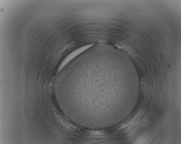 X0000067000741200603311614