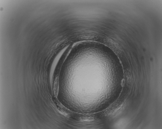 X0000067000745200603311614