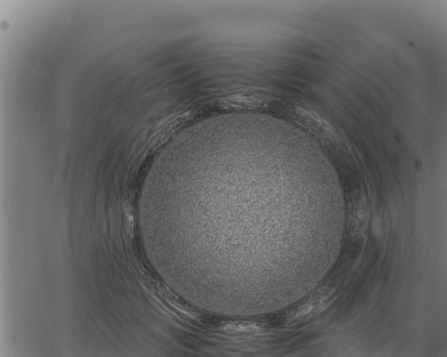 X0000067000749200603311614