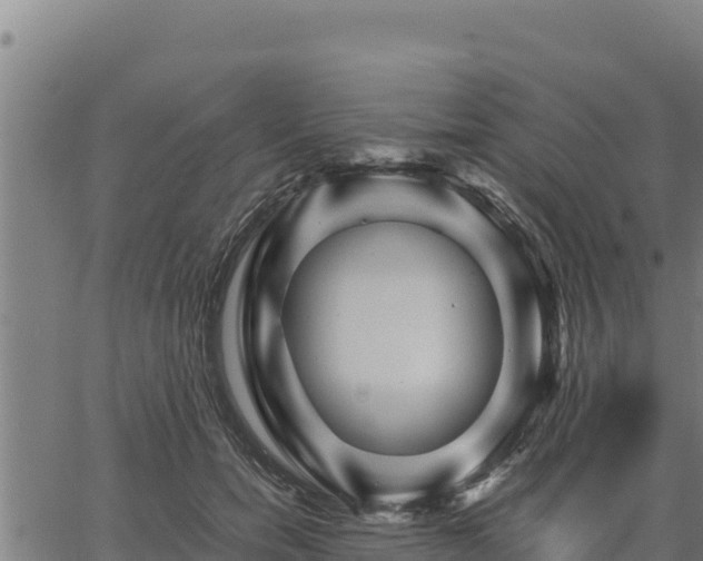 X0000067000750200603311614