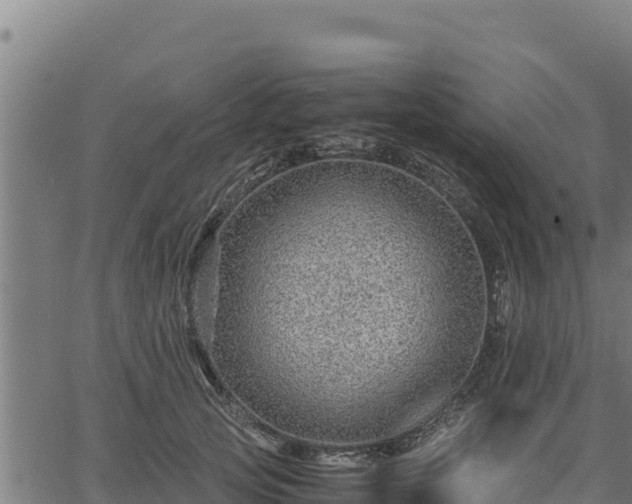 X0000067000753200603311614