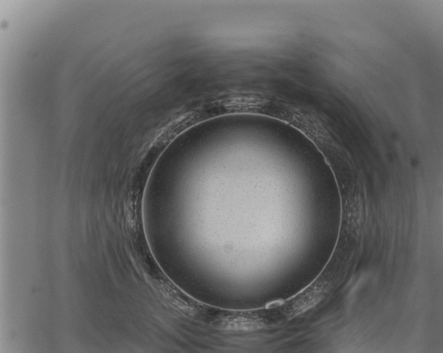 X0000067000755200603311614