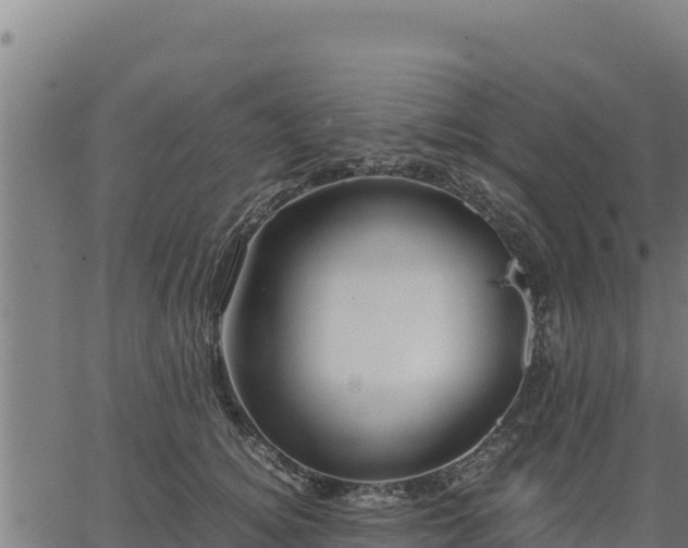 X0000067000756200603311614